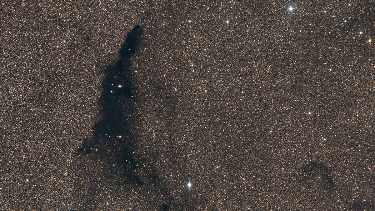 barnard252