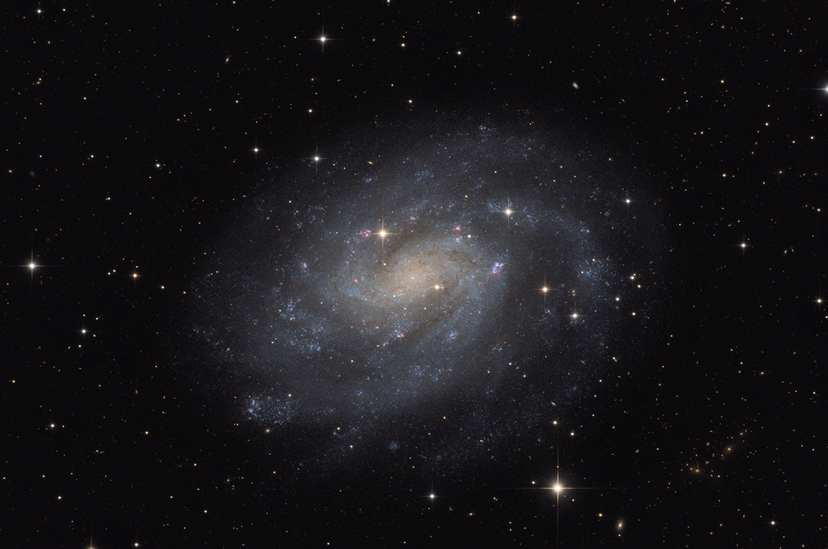 ngc300