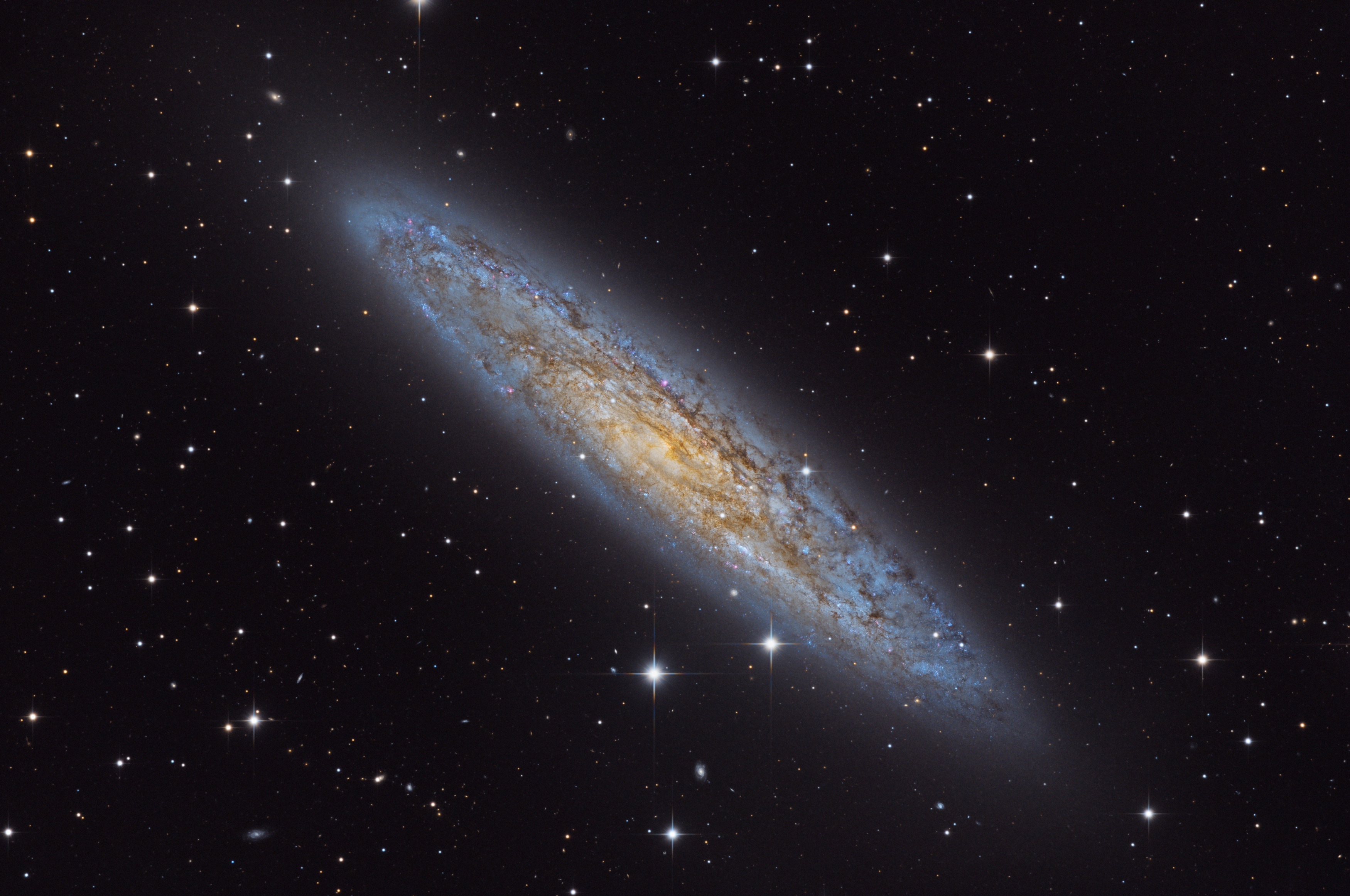 NGC 253